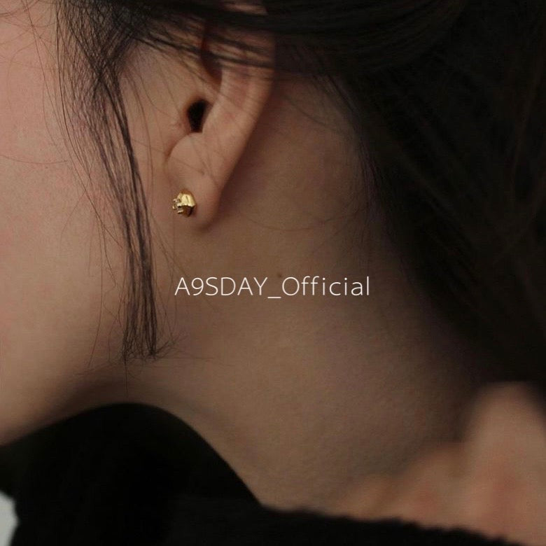 925 Silver Mini Zircon Earring - E003